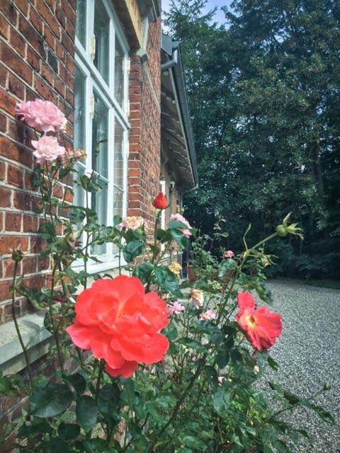 Rotzowlund Bnb Грена Экстерьер фото